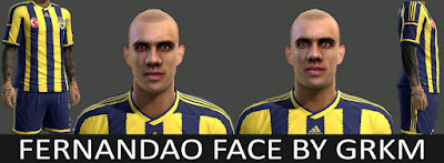 PES 2013 Fernandao Face by Grkm