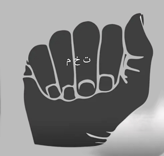 تطبيق The ASL APP من افضل التطبيقات لتعلم لغة الإشارة للصم والبكم المجانية