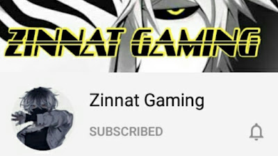 Zinnat Gaming: Bleach vs Naruto Content Creator.