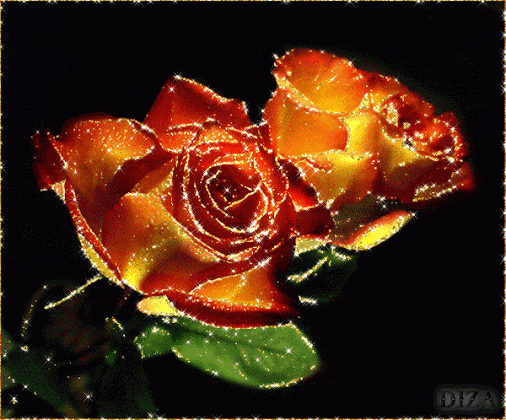 Decent Image Scraps: Animated Roses