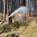 German forest fire threatens to detonate unexploded WWII ammunition
