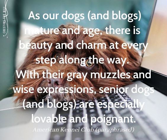 old dogs and old blogs are still lovely