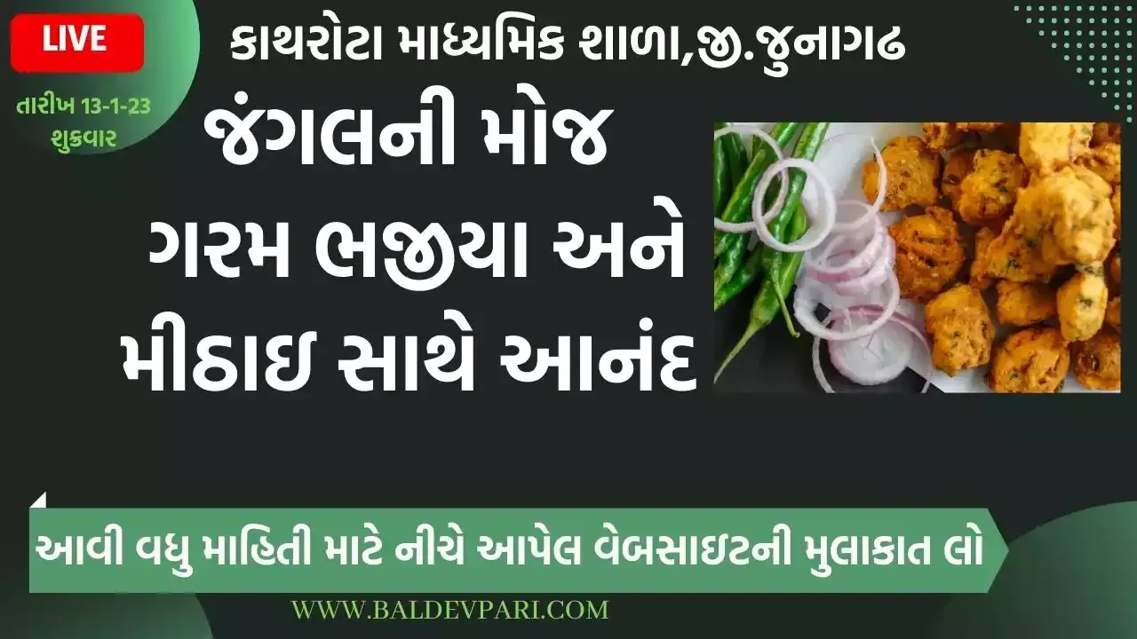 લાઈવ જંગલની મોજ ગરમ ભજીયા અને મીઠાઇ સાથે આનંદ