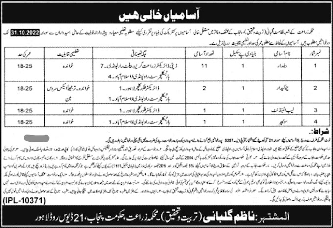 Agriculture Department October 2022 Jobs For Punjab Residents || Online Application