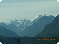 DSCN7985