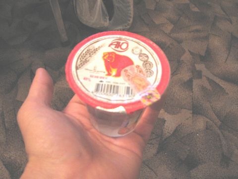 Tysyacha Voprosy V Kyrgyzstane キルギスで千 尋ねる ワンカップウォッカ