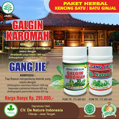 obat batu ginjal