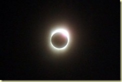 fish_eclipse1-250x168