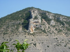 PIOVINO