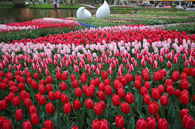 Keukenhof Garden, Amsterdam, the Netherlands