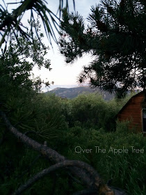 Family Camping 2016- Over The Apple Tree