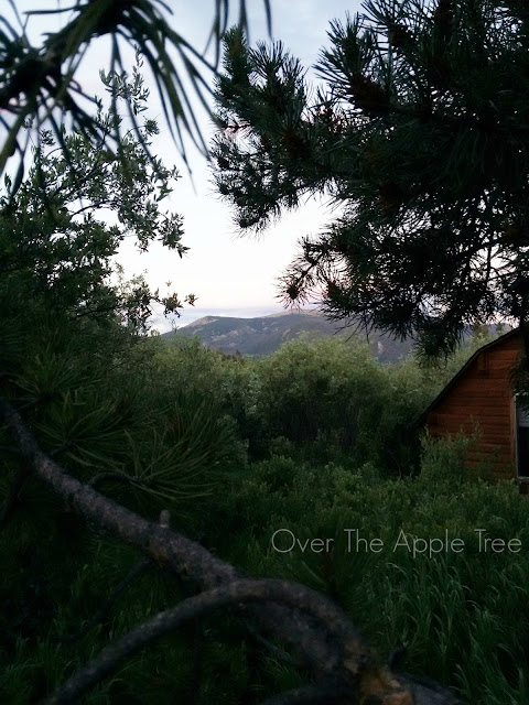 Family Camping 2016- Over The Apple Tree