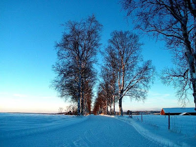 La hermosa Nieve