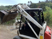 bobcat