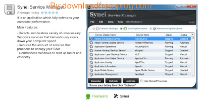 Download Synei Service Manager 1.12 for free