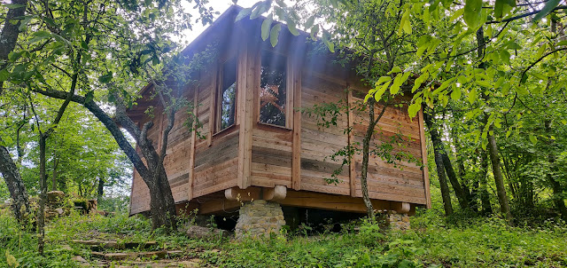 Una sauna nel bosco?