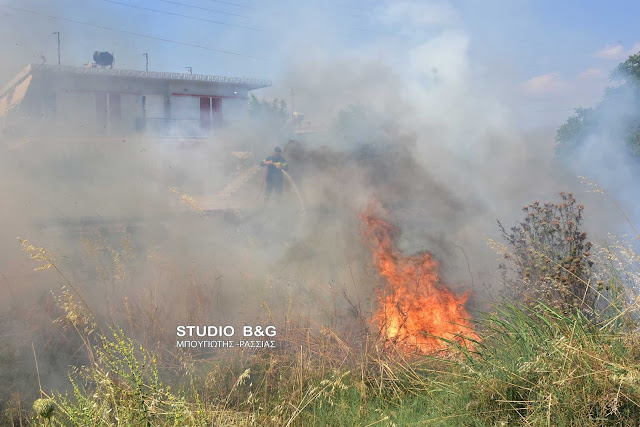 Πυρκαγιά στην Αργολίδα κοντά σε σπίτια (βίντεο)