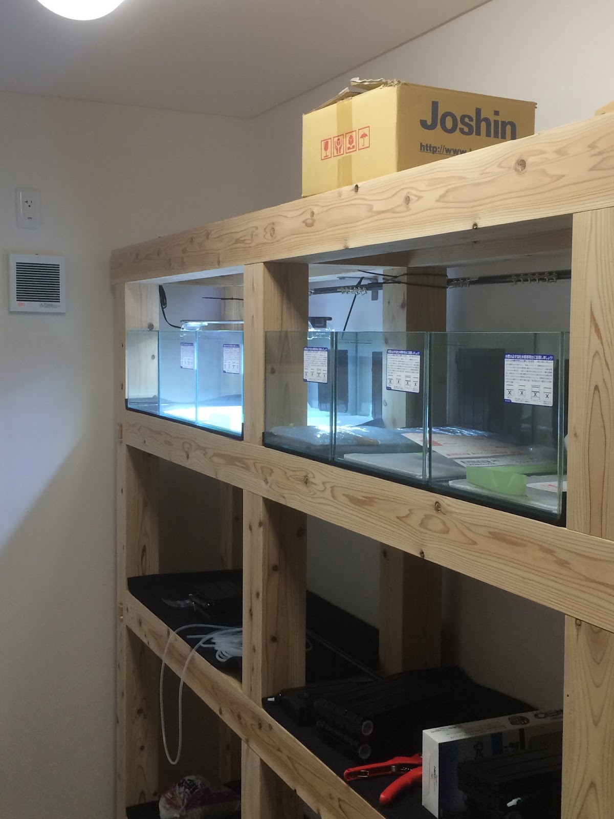 水槽部屋の導入時 僕と熱帯魚と時々水草