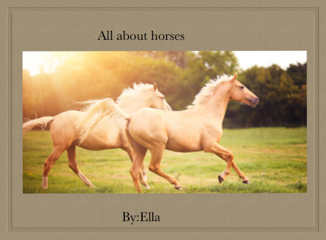 All About Horses