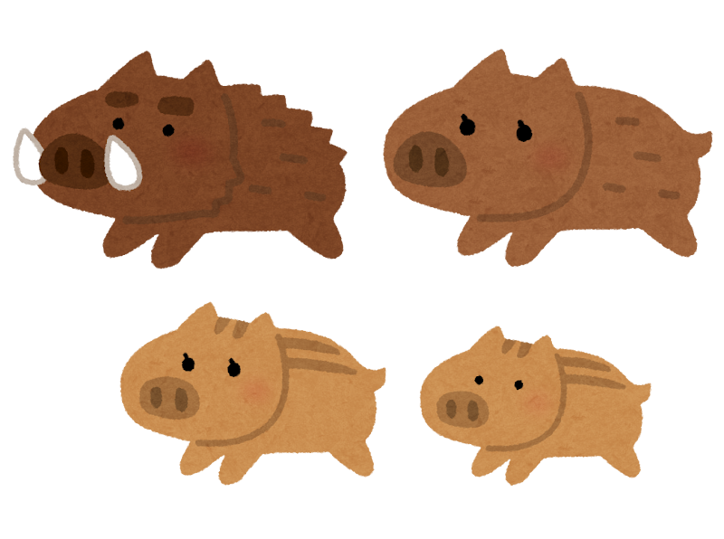 猪の家族のイラスト 亥年 かわいいフリー素材集 いらすとや 猪の家族のイラスト 亥年 かわいいフリー素材集 いらすとや