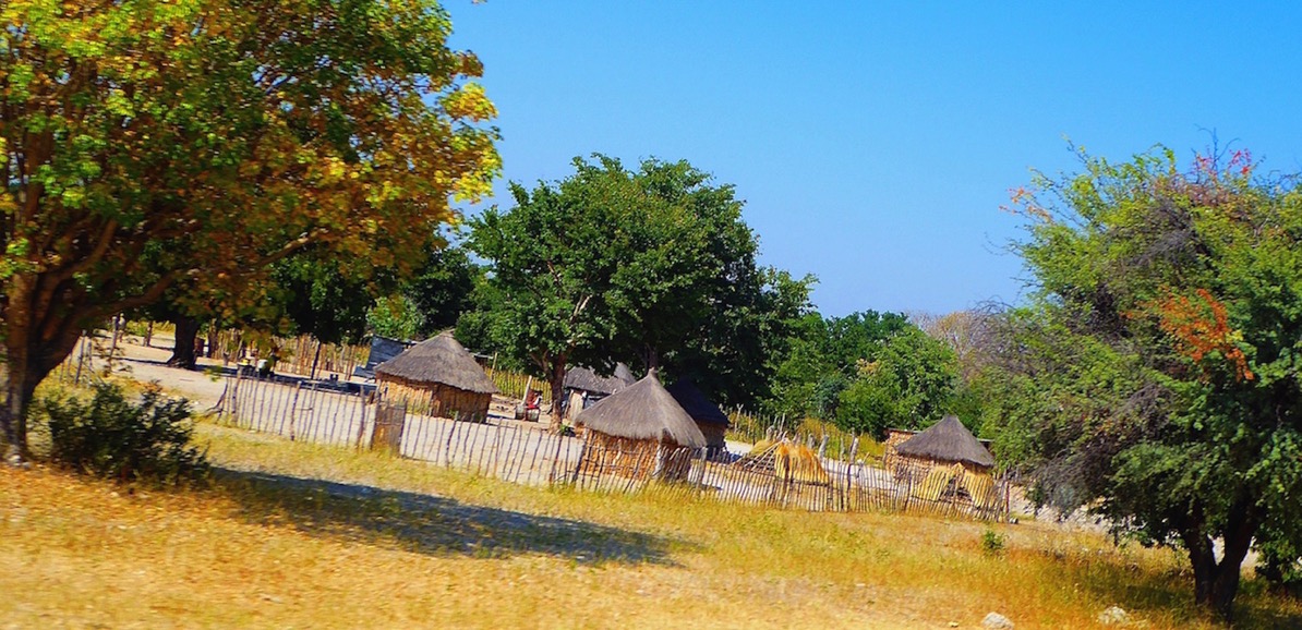 P1020689