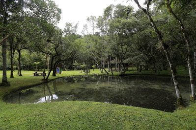 Visitação de parques requer vacina contra febre amarela