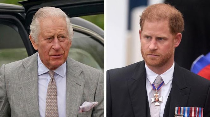 Prince Harry Garnered Support Amidst King Charles' Snub