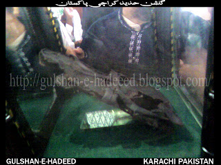 Gulshan-e-hadeed Pictures, Gulshan-e-hadeed Pics, Gulshan-e-hadeed Images, Gulshan-e-hadeed Wallpapers, Gulshan-e-hadeed Potos, Gulshan-e-hadeed Videos, Gulshan-e-hadeed Img, Gulshan-e-hadeed Places, Gulshan-e-hadeed Markets, Gulshan-e-hadeed Schools, Gulshan-e-hadeed Colleges, Gulshan-e-hadeed Shops, Gulshan-e-hadeed Bazars, Gulshan-e-hadeed Location, Gulshan-e-hadeed Google Map, Gulshan-e-hadeed Websites, Gulshan-e-hadeed Karachi, Gulshan-e-hadeed Postal Code, Gulshan-e-hadeed Property Sale, Steel Town Gulshan-e-hadeed, Gulshan-e-hadeed Steel Mils, Gulshan-e-hadeed Transport, Gulshan-e-hadeed Wiki, Gulshan-e-hadeed Zameen, Map Of Gulshan-e-hadeed, Phase 1 Gulshan-e-hadeed, Phase 2 Gulshan-e-hadeed, Gulshan-e-hadeed Facebook, Gulshan-e-hadeed Youtube, Gulshan-e-hadeed Dailymotion, Gulshan-e-hadeed Viber, Gulshan-e-hadeed Blog, Gulshan-e-hadeed Masjids, Gulshan-e-hadeed Imam Bargha, Gulshan-e-hadeed Roads, Gulshan-e-hadeed Hospitals, Gulshan-e-hadeed Electronic Shops, Gulshan-e-hadeed Mobile Shops, Gulshan-e-hadeed Kesc Center, Gulshan-e-hadeed Complain Centr, Gulshan-e-hadeed Green Bus, Gulshan-e-hadeed Muslim, Gulshan-e-hadeed Phase 3, Gulshan-e-hadeed Houses, Gulshan-e-hadeed Rent Houses, Gulshan-e-hadeed Homes, Gulshan-e-hadeed Bin Qasim, Gulshan-e-hadeed Steel Mills Park, Gulshan-e-hadeed Meaning, Gulshan-e-hadeed Urdu, Gulshan-e-hadeed English, Gulshan-e-hadeed Jewellers Shops, Gulshan-e-hadeed Security, Gulshan-e-hadeed Geography, Gulshan-e-hadeed Development Phases, Gulshan-e-hadeed Streets And Roads, Gulshan-e-hadeed Peoples, Gulshan-e-hadeed Castes, Gulshan-e-hadeed Link Road, Gulshan-e-hadeed Companies, Gulshan-e-hadeed Area, Gulshan-e-hadeed Town, Gulshan-e-hadeed L7, Gulshan-e-hadeed Karachi, Gulshan-e-hadeed Telephone Exchanges, Gulshan-e-hadeed Hotels, Gulshan-e-hadeed Entrance, Gulshan-e-hadeed Rent Shops, Gulshan-e-hadeed Phase 1 Phase 2 Phase 3, Steel Town Pictures, Steel Town Pics, Steel Town Images, Steel Town Wallpapers, Steel Town Potos, Steel Town Videos, Steel Town Img, Steel Town Places, Steel Town Markets, Steel Town Schools, Steel Town Colleges, Steel Town Shops, Steel Town Bazars, Steel Town Location, Steel Town Google Map, Steel Town Websites, Steel Town Karachi, Steel Town Postal Code, Steel Town Property Sale, Steel Town Steel Town, Steel Town Steel Mils, Steel Town Transport, Steel Town Wiki, Steel Town Zameen, Map Of Steel Town, Block A Steel Town, Block B Steel Town, Steel Town Facebook, Steel Town Youtube, Steel Town Dailymotion, Steel Town Viber, Steel Town Blog, Steel Town Masjids, Steel Town Imam Bargha, Steel Town Roads, Steel Town Hospitals, Steel Town Electronic Shops, Steel Town Mobile Shops, Steel Town Kesc Center, Steel Town Complain Centr, Steel Town Green Bus, Steel Town Muslim, Steel Town Block C, Steel Town Houses, Steel Town Rent Houses, Steel Town Homes, Steel Town Bin Qasim, Steel Town Steel Mills Park, Steel Town Meaning, Steel Town Urdu, Steel Town English, Steel Town Jewellers Shops, Steel Town Security, Steel Town Geography, Steel Town Development Phases, Steel Town Streets And Roads, Steel Town Peoples, Steel Town Castes, Steel Town Link Road, Steel Town Companies, Steel Town Area, Steel Town Town, Steel Town Russian Market, Steel Town Karachi, Steel Town Telephone Exchanges, Steel Town Hotels, Steel Town Entrance, Steel Town Rent Shops, Steel Town Block A Block B Block C.