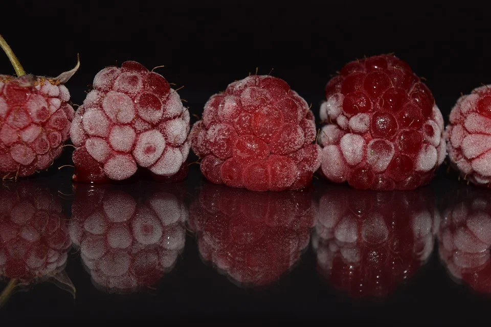 Frozen Fruit