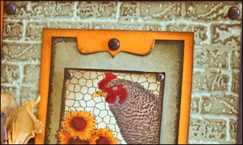 sunflower-seeds-hen--kisa