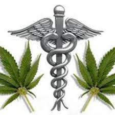 medical cannabis doctors