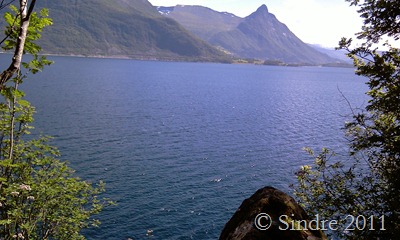 IMAG0391