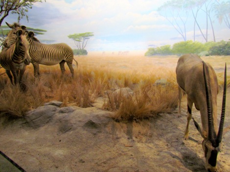 CaliforniaAcademyofSciences-56-2012-04-24-14-12.jpg