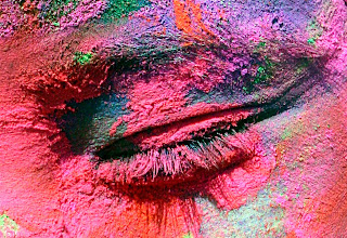 Happy Holi Wallpapers