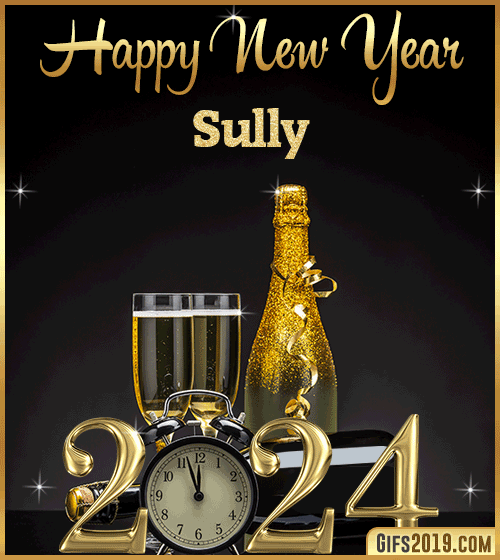 Champagne Bottles Glasses New Year 2024 gif for Sully