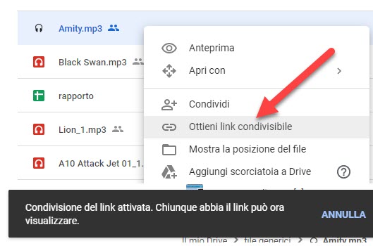 link condivisibile di google drive