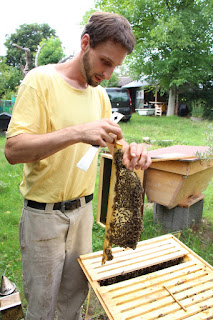 Marc mit Bienen und Top Bar