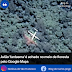 Avião 'fantasma' é achado no meio de floresta pelo Google Maps