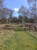Westwood Marsh footpath at Newdelight Walks