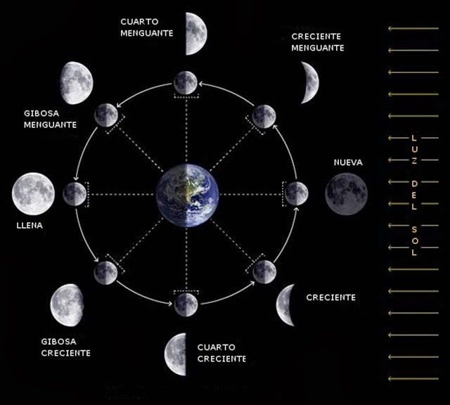 Grado En Geografia E Historia Tema 1 La Tierra Forma Y Dimensiones