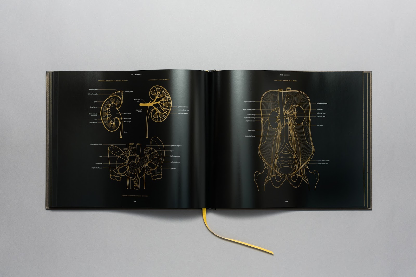 http://morbidanatomy.bigcartel.com/product/anatomy-in-black-by-emily-evans-preorder