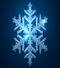 largest snowflake