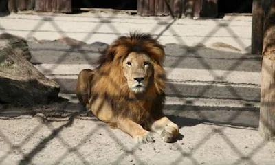 Zoológico de Balneário Camboriú