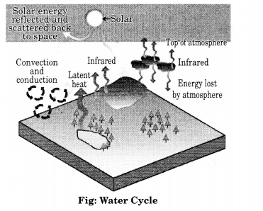 Solutions Class 11 Geography Chapter-11 Water in the Atmosphere