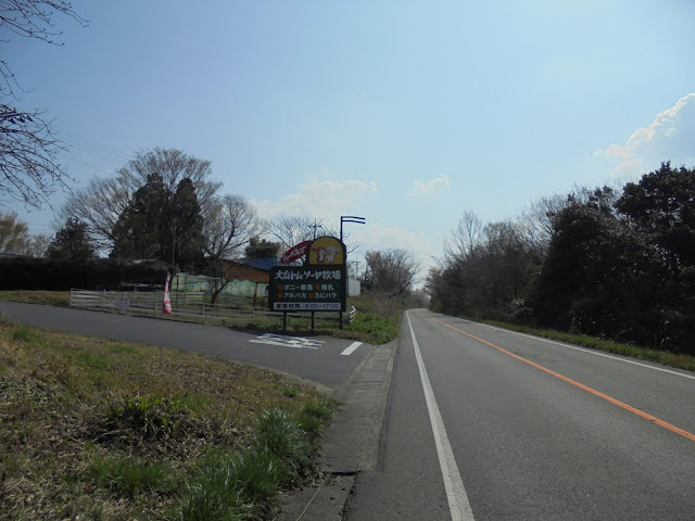 左手が大山トム・ソーヤ牧場