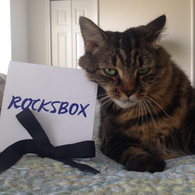 Cat sitting on bed rubbing on RocksBox box