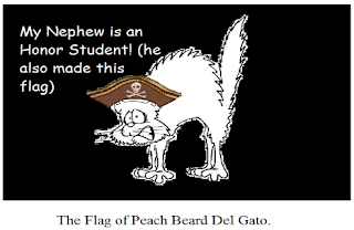 gato flag fun fact