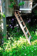 VÄXTZONER