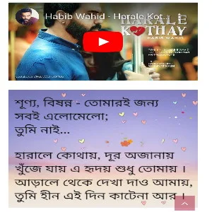 Harale Kothay Lyrics (হারালে কোথায়) Habib Wahid Song | Tumi Chara Ei Din