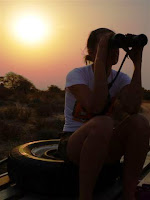 Game Viewing in the Kgalagadi Transfrontier Park